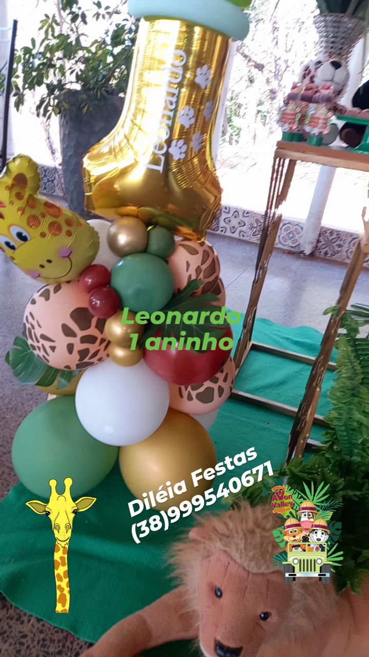 Dileia Festas Decoracao De Festas Baloes Decorativos  | tuum.com.br